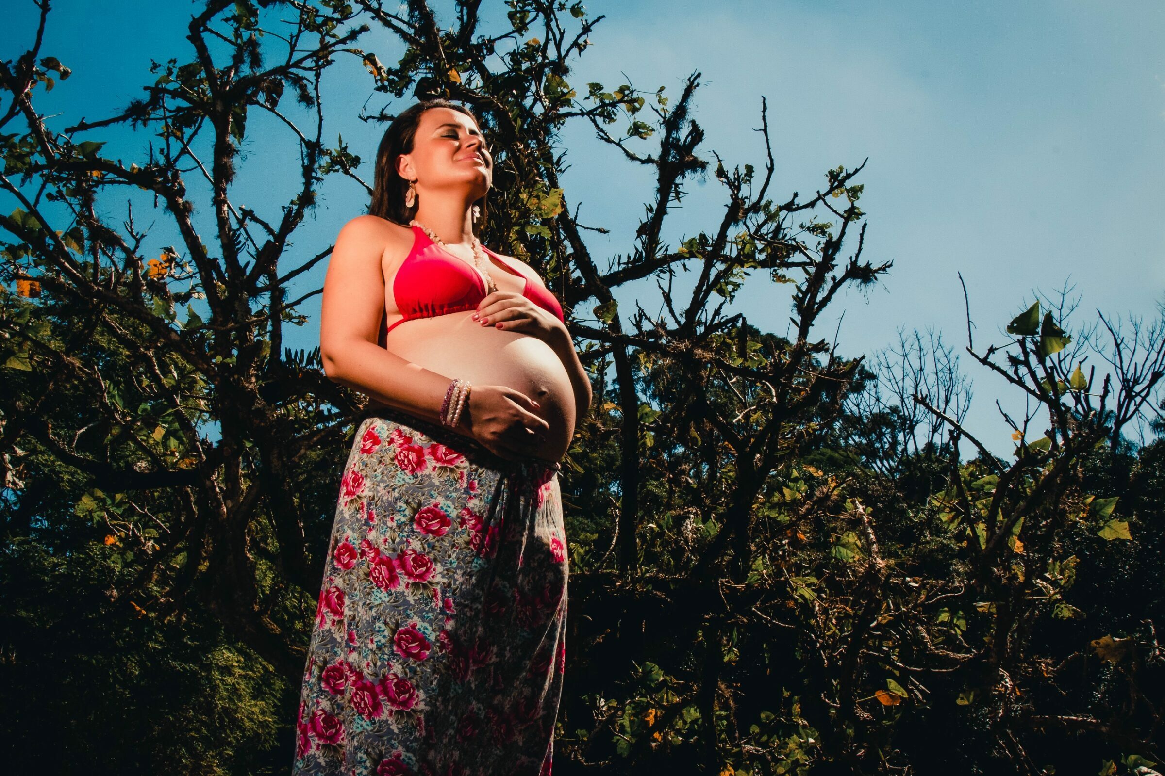 Foto de WEGA PHOTOS 1