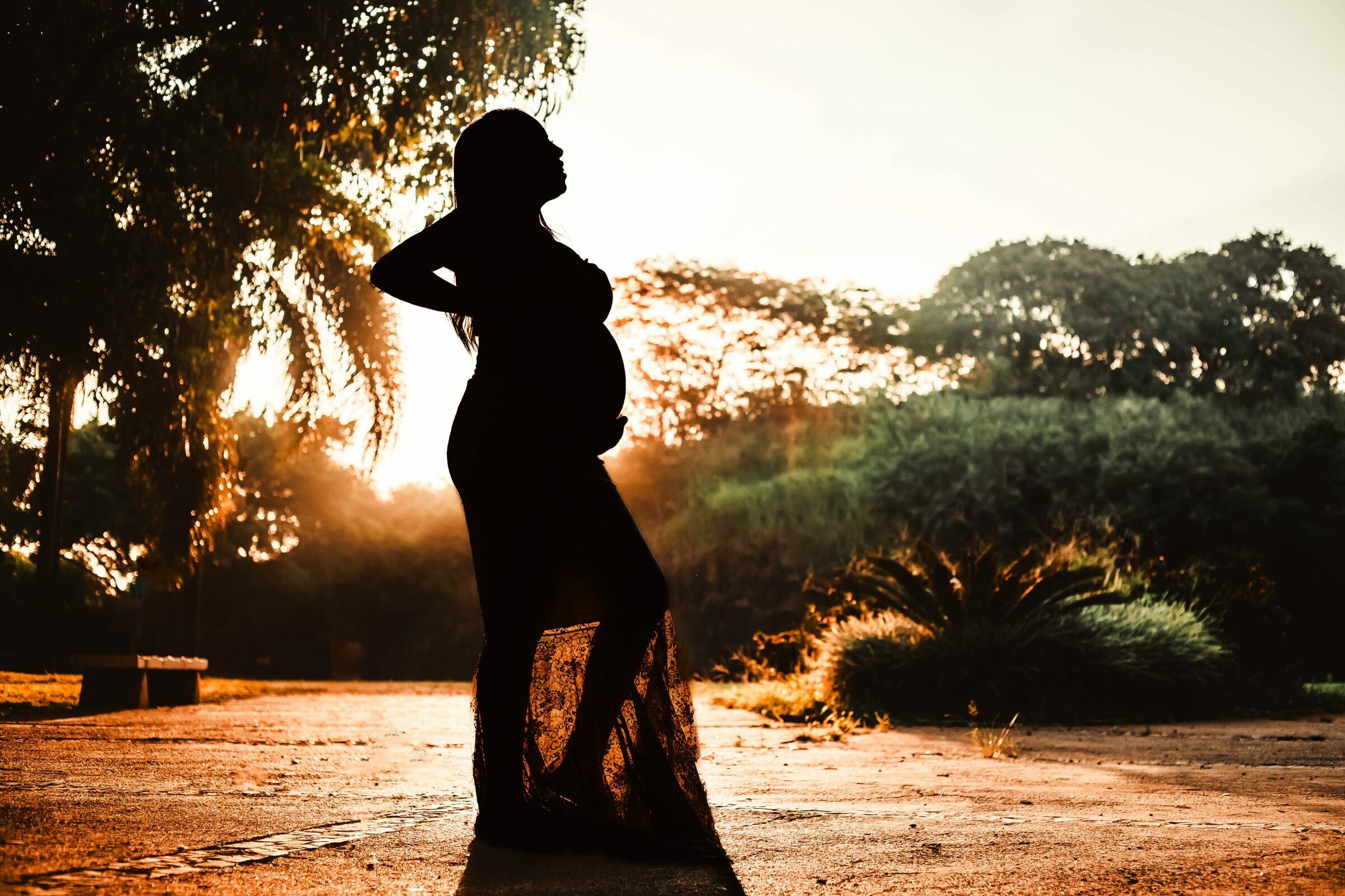 Foto de WEGA PHOTOS 4